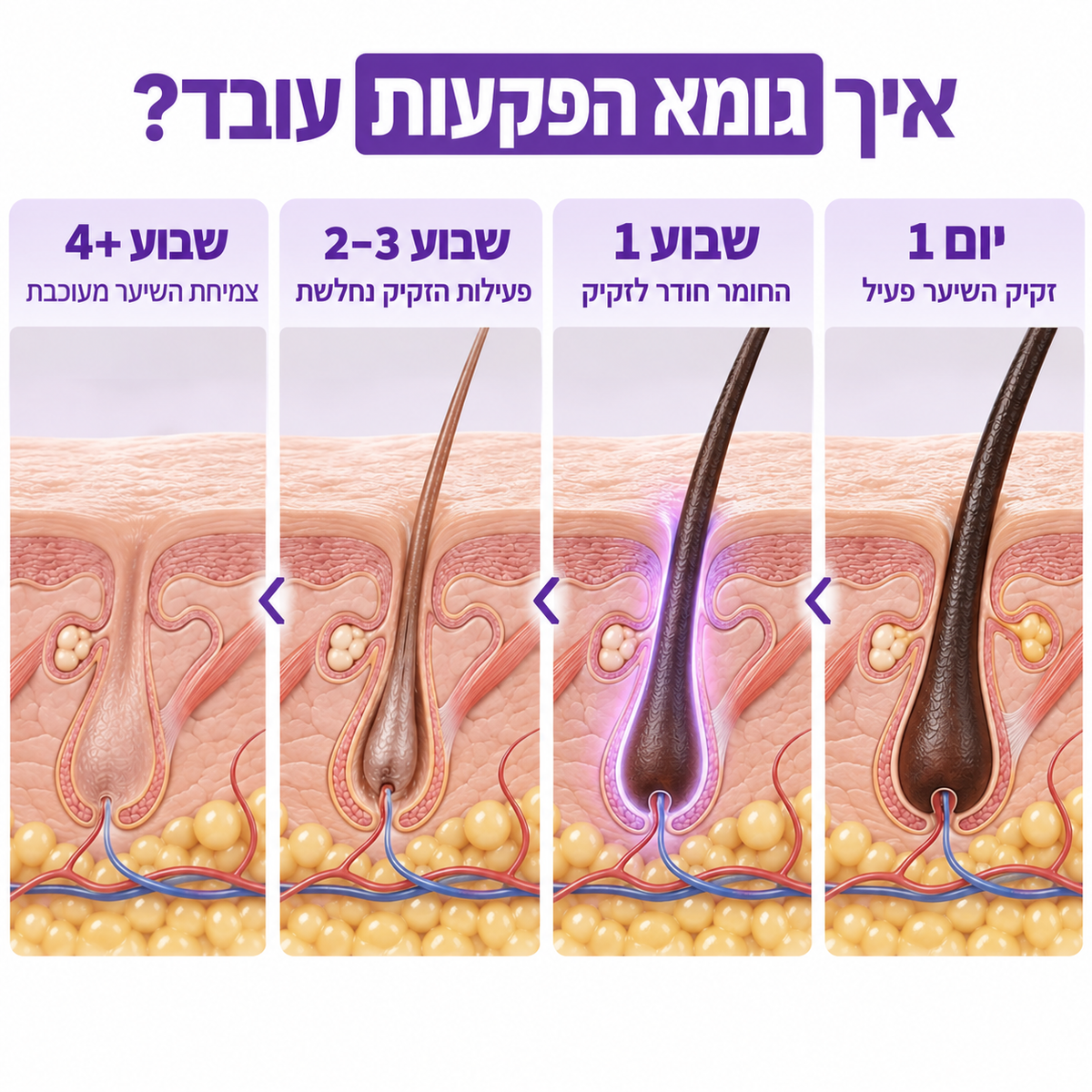 תמונת מוצר נוספת של שמן SlowGrow מבית Glowy